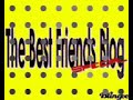 The Best Friends Blog Rekapitulace 2008 1/2 The Best Friends Blog Rekapitulace 2008 1/2