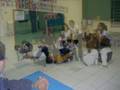 videos de Estrutura e Funcionamento dos Sistemas de Ensino