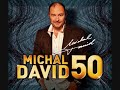 Čas vítězství - David Michal