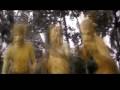 Chinganilavu 2008 Promo