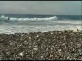 bodyboarding  the d r 