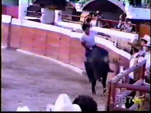 TOROS CELAYA - aquitan vien monta el gallo de tamayo el guero de la quemada.