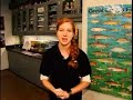 Great Lakes Aquarium by OFFICIALBESTOF.COM TV & TRAVEL