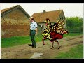 Baphomet - A Psycho Chicken