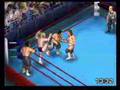 Territories Wrestling Efed World Class Firepro Returns PS2