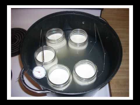 how to make yogurt