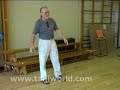 Tai Chi MASter Teaching Class V. 5 Montaigue