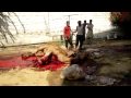 maymar plaza camel qurbani 8.avi