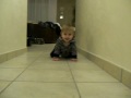CIMG1061.AVI