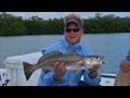 Vero Hero - TROUT & REDFISH on artificials