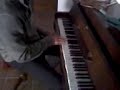 palma pianista sulle pecore
