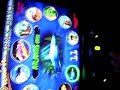 cruisn exotica board