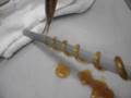 Sandra Plevisani rulos de caramelo