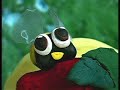 The Strawberry Patch - Animated Short Film The Strawberry Patch - Animated Short Film