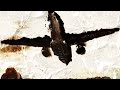 Street Fighter IV Guile vs Abel Trailer (Captivate 08)