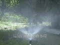 Rotary sprinkler