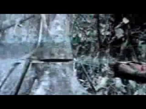 Deftones - Sextape Clipe
