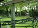 keverbaan-bellewaerde park