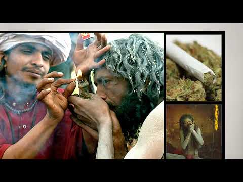 how to cure effect of bhang