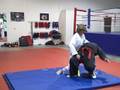 videos de Jin Mu Kwan, Blue belt technique