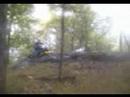 Into Harriman