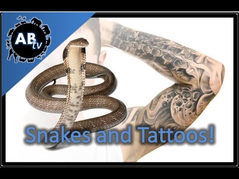 YouTube reptile video