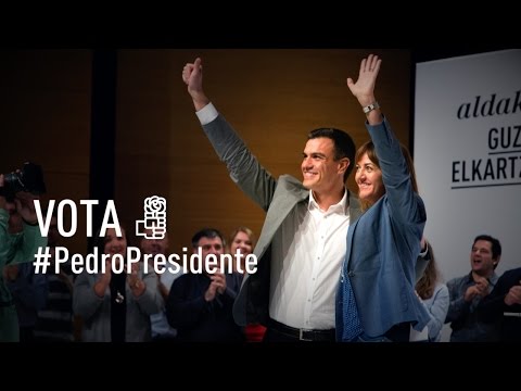 Cierre de campaa del PSE-EE