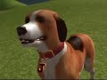 Game Preview: Dog's Life - FART JOKES GALORE!!!