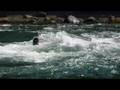 videos de Reversing Falls Leap
