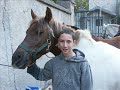 horse ball mix