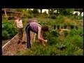 Flemington Community Garden