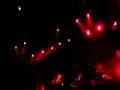 Manu Chao - Por el Suelo, live at Hurricane 2006 (02/14)