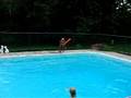 Cannonball-1