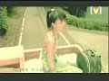 張韶涵 - 遺失的美好