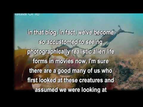 Alien Life and Sea Dragons