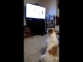 Murphy Joins the Bark Side -Ver. 2-