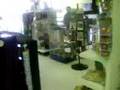 Trip to the Pet store