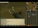 KBD killing bro's