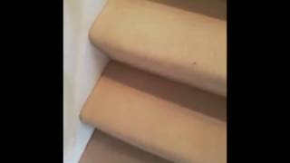How to Protect Your Carpet On Your Stairs While Painting