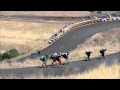 Longboarding Races, Maryhill Festival of Speed 2011