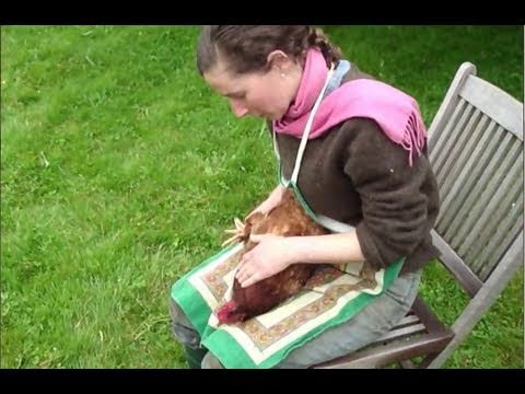 how to snap a chicken's neck