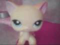 sophie,on live with regas and kelly (lps)