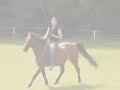 Bareback &amp; Bridleless
