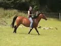 Bareback & Bridleless Bareback & Bridleless