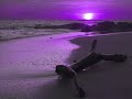 such a tune from phonique...made video myself...fast forward to bout 1minute30...becomes such a tune!!