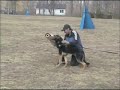 Fyke Learning Out