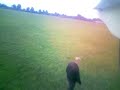 flycam hoerdt