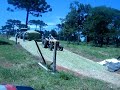fazendo silagem para alimentar  as vacas