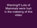 necessary bloodshed  reptile feeding 