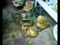 Ceramica Raku